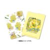 寶可夢卡片收納盒－MIMOSA e POKÉMON系列：圖片 3