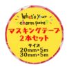 寶可夢中心－What’s your charm point?系列圖樣膠帶組：圖片 3